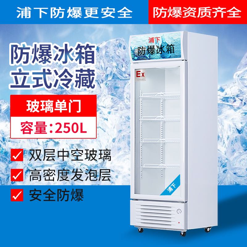 防爆冷藏冰箱BBG-250L